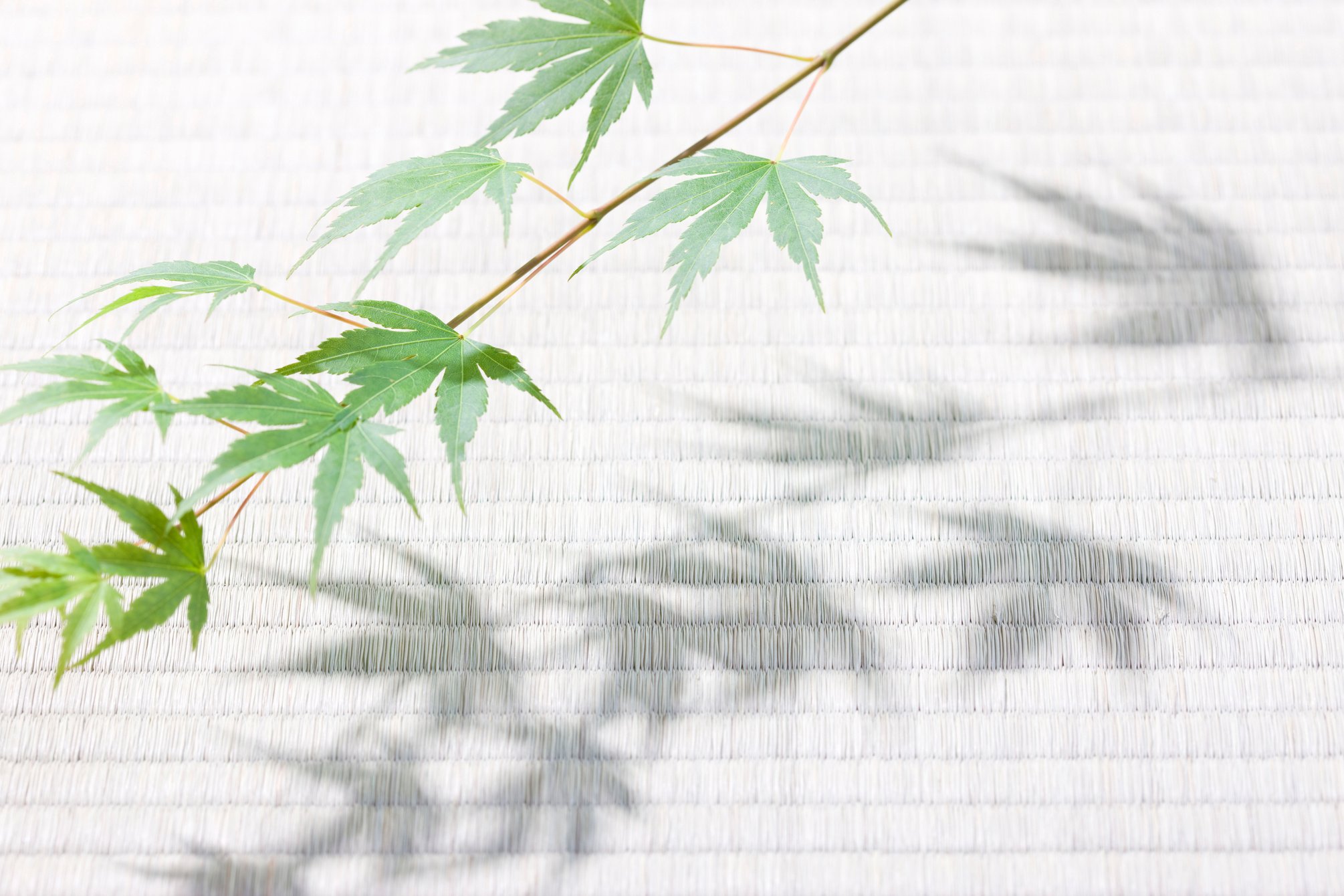 Japanese-style image
